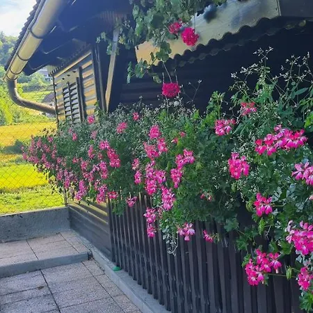 Amb Village Point Dob