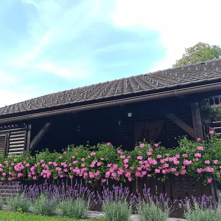 Amb Village Point 펜션