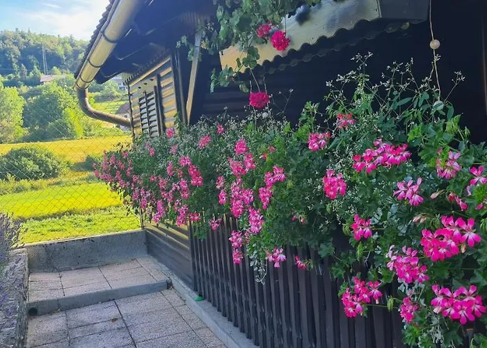 Amb Village Point Dob