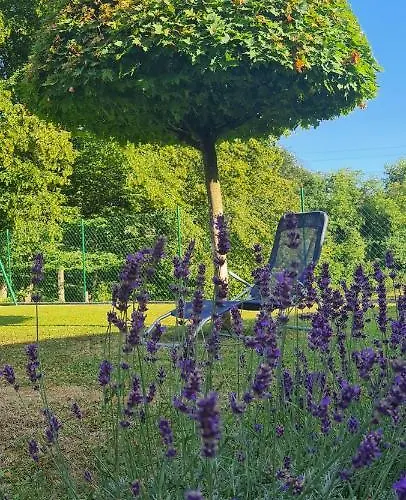 بيت للعطل Amb Village Point